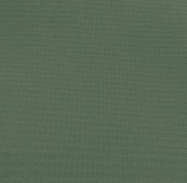 Rental store for BASIC POLY - ARMY GREEN in Akron Ohio
