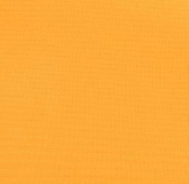 Rental store for BASIC POLY - NEON ORANGE in Akron Ohio