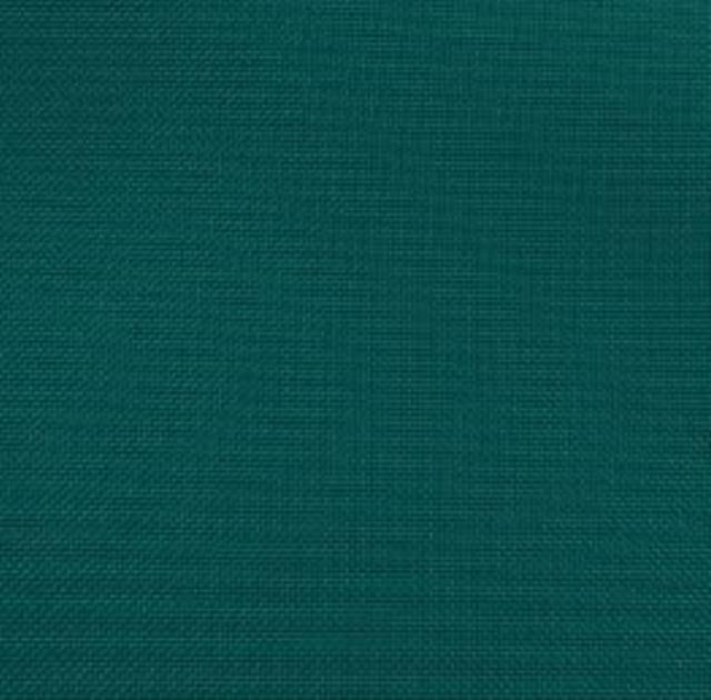 Rental store for BASIC POLY - TEAL in Akron Ohio