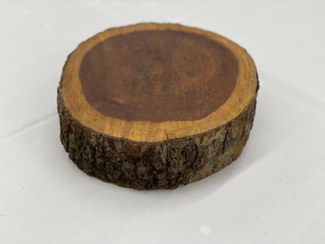 Rental store for TCC LOG SLICE in Akron Ohio