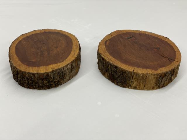 Rental store for TCC LOG SLICE - 2 PIECE in Akron Ohio